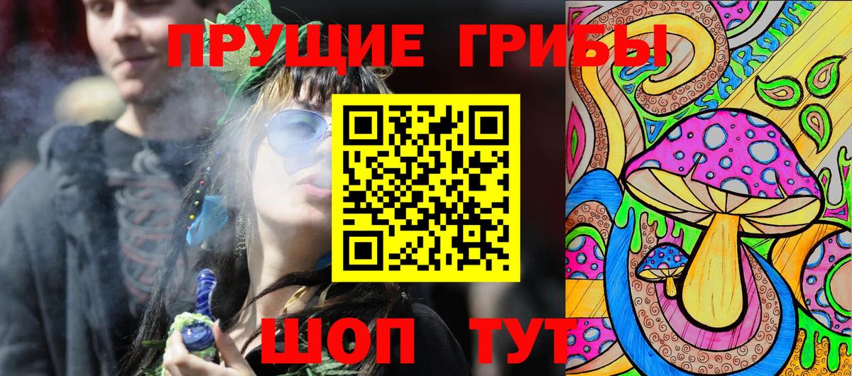 наркошоп  Подольск  Псилоцибиновые грибы GOLDEN TEACHER 